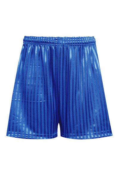 Shadow Stripe Shorts - Royal Blue