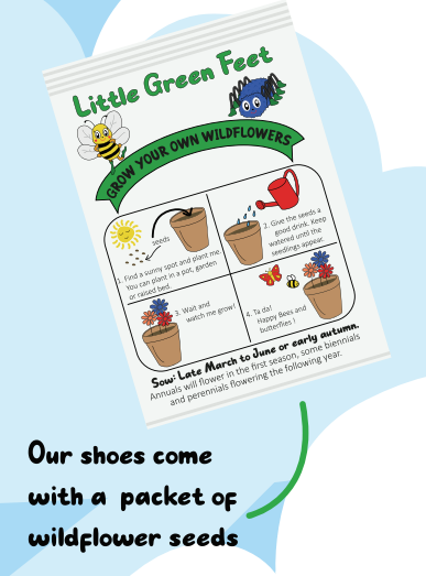 Little Green Feet - Girls 'Ellie' Shoes