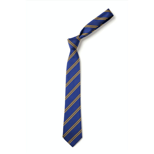 Lutley Primary School - Tie