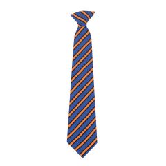 Leasowes High School - Tie