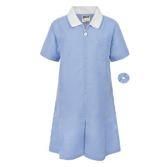 Blue Gingham Dress