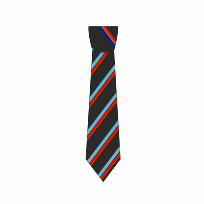 Kingswinford Academy - Tie