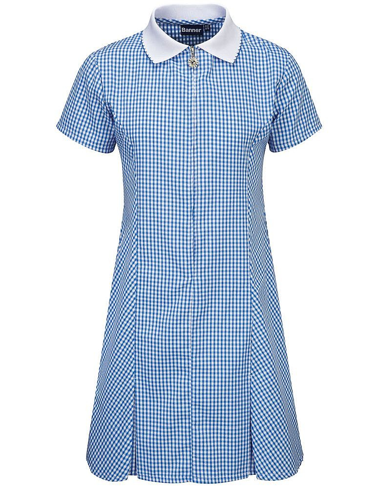 Banner - Blue Gingham Dress