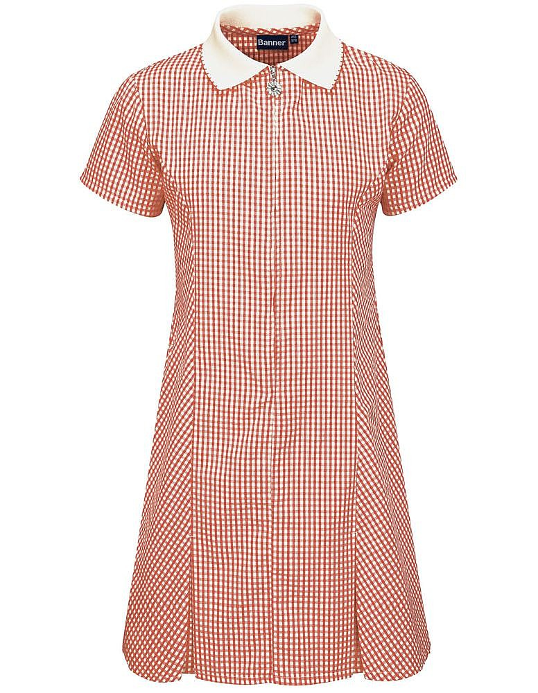 Banner - Red Gingham Dress